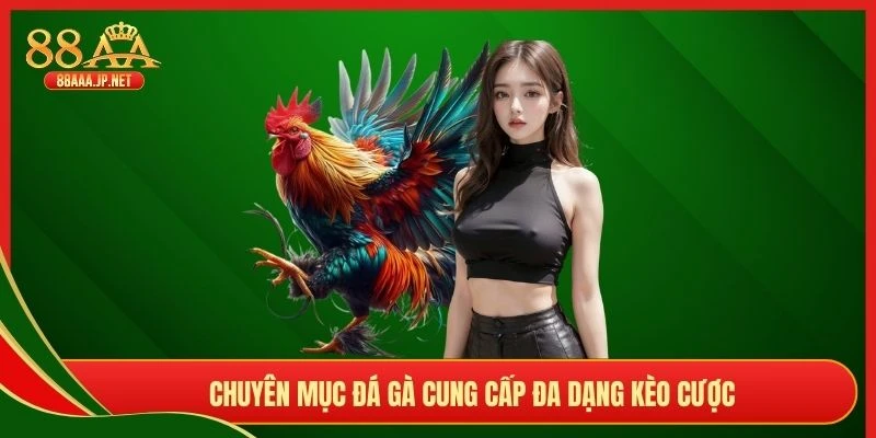 Chuyên mục đá gà cung cấp đa dạng kèo cược