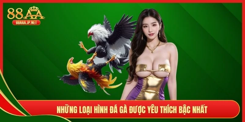 Những loại hình đá gà được yêu thích bậc nhất