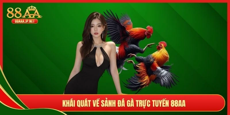 Khái quát về sảnh đá gà trực tuyến 88AA