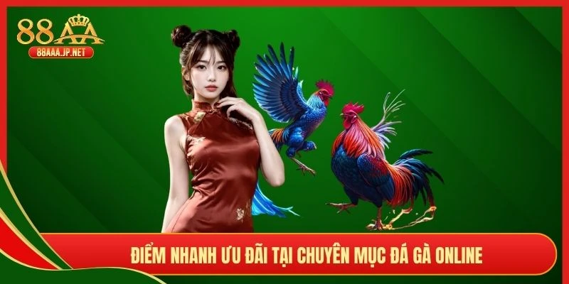 Điểm nhanh ưu đãi tại chuyên mục đá gà online