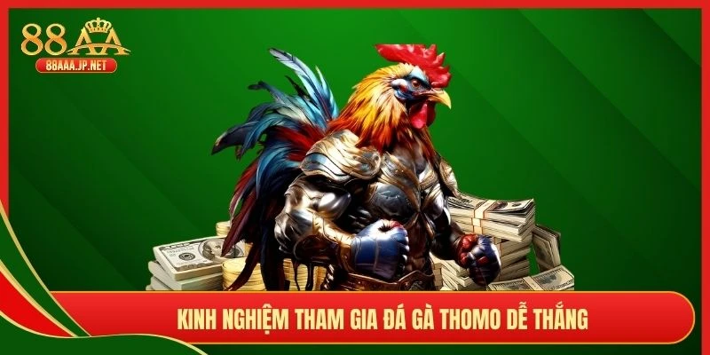 Kinh nghiệm tham gia đá gà thomo dễ thắng