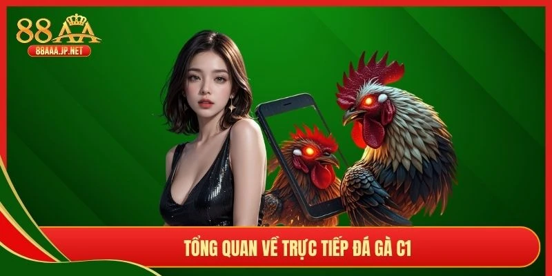 Tổng quan về trực tiếp đá gà C1