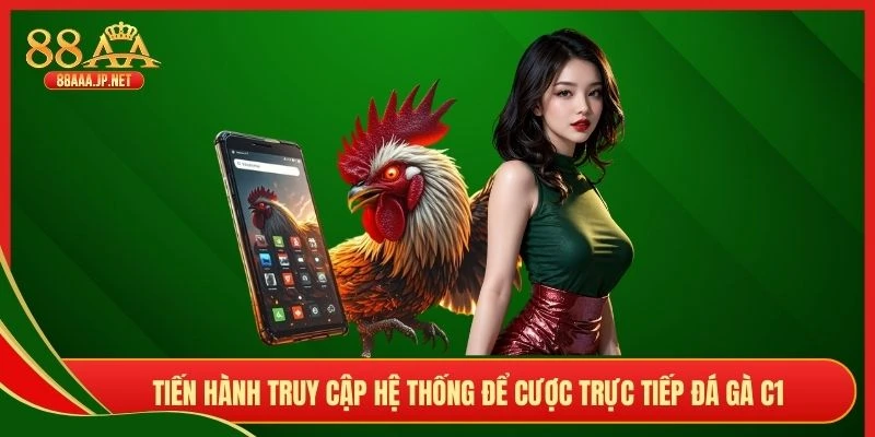 Tiến hành truy cập hệ thống để cược trực tiếp đá gà C1